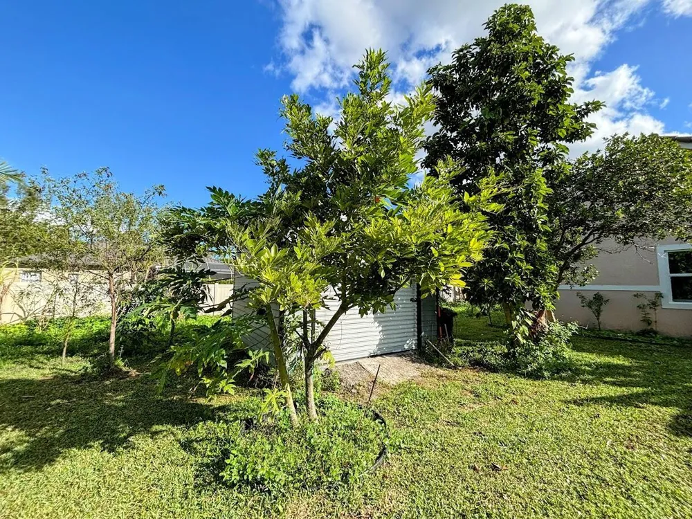 14715 82nd Ln Lane #Side House Loxahatchee, FL 33470