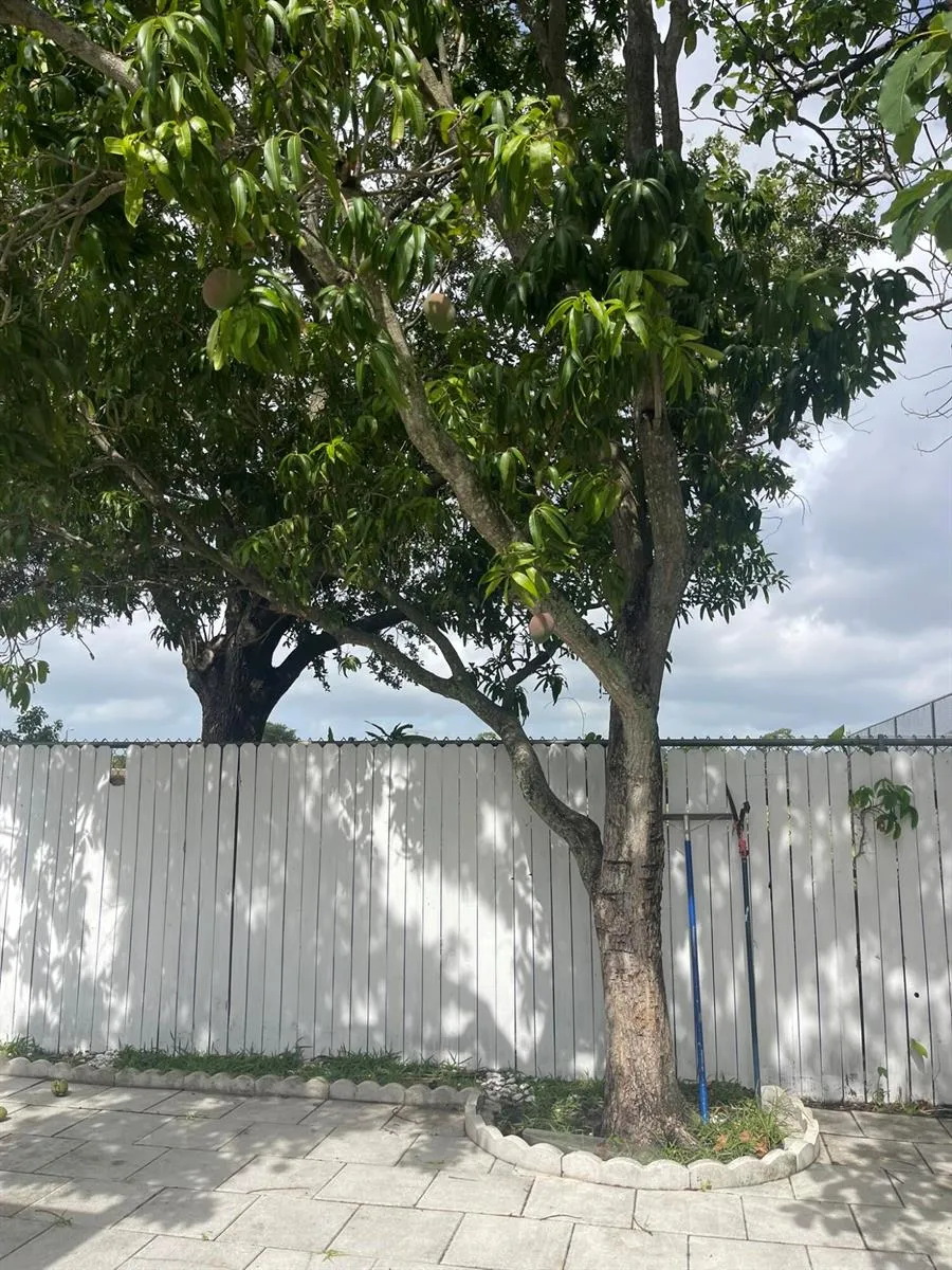 1534 Royal Forest Court West Palm Beach, FL 33406