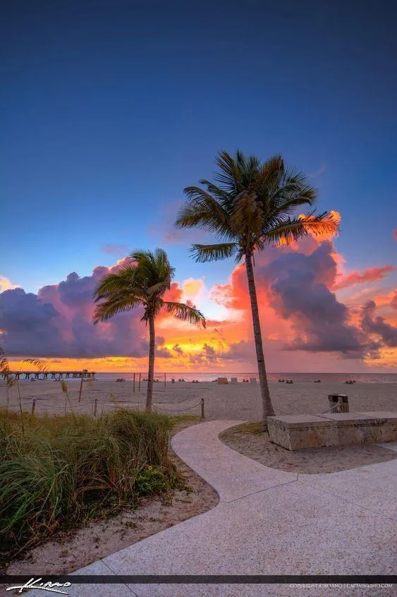 3209 SE 8 STREET #710 Pompano Beach, FL 33062