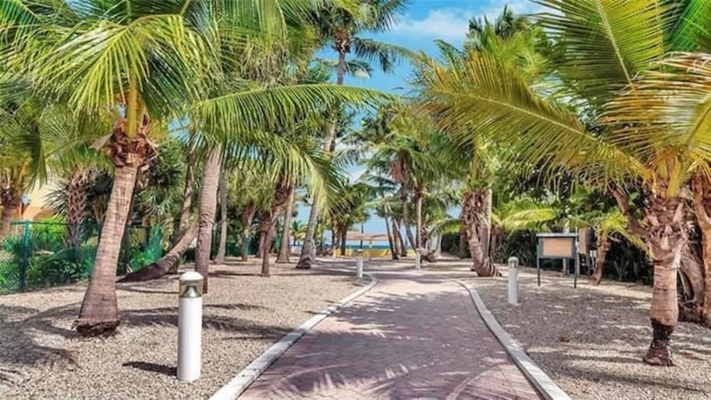 1755 E Terra Mar Drive Lauderdale By The Sea, FL 33062