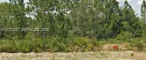 3011 W Dixon Rd Avon Park, FL 33825