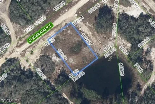 517 Dreamland Ave Lake Placid, FL 33852