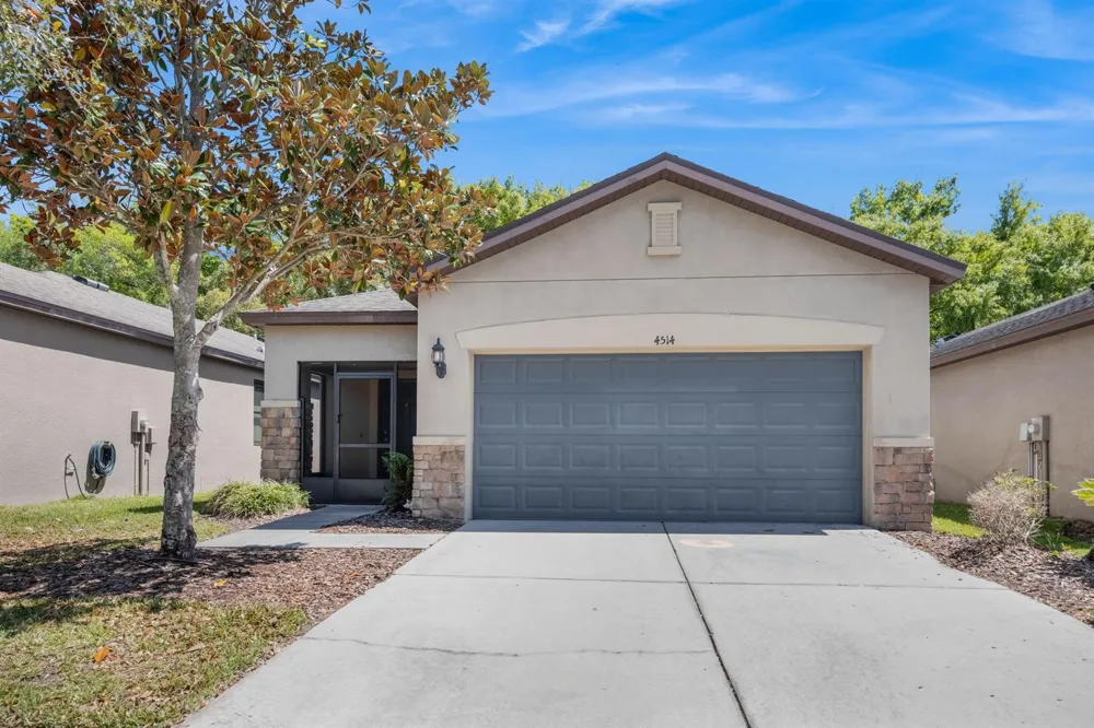 4514 Paper Mulberry Place Riverview, FL 33578