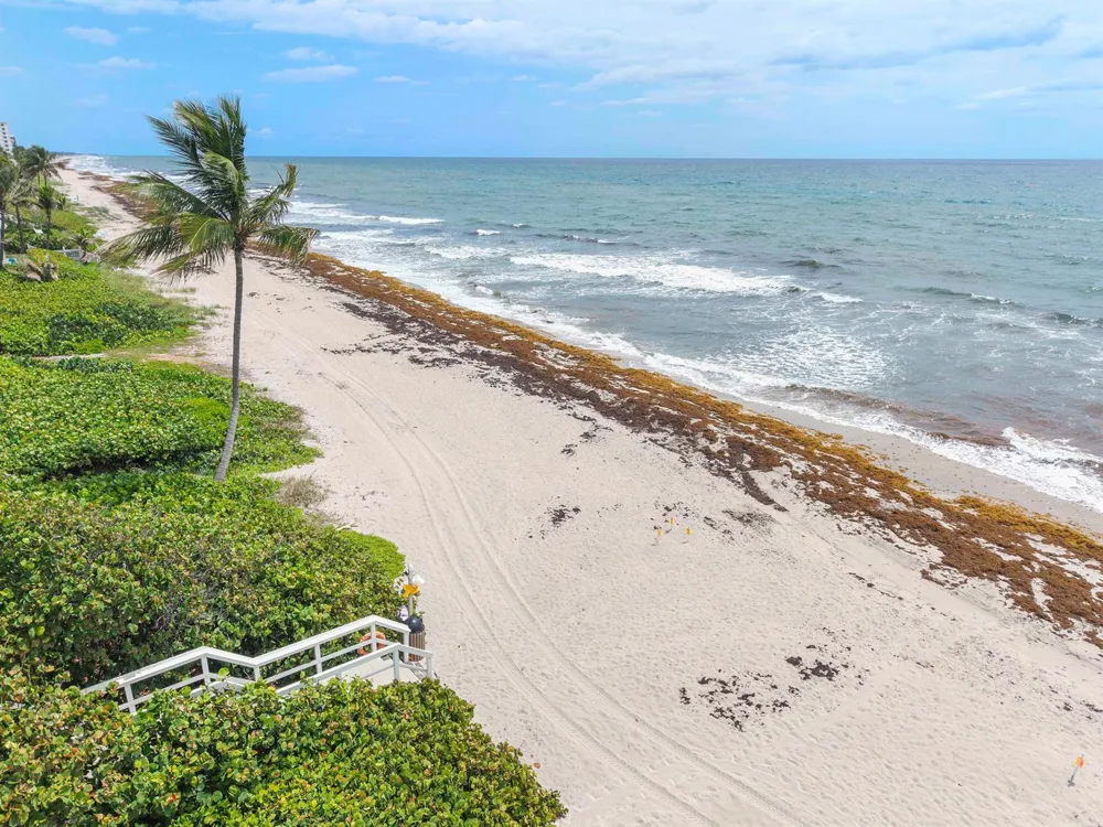 3596 S Ocean Boulevard #102 Highland Beach, FL 33487
