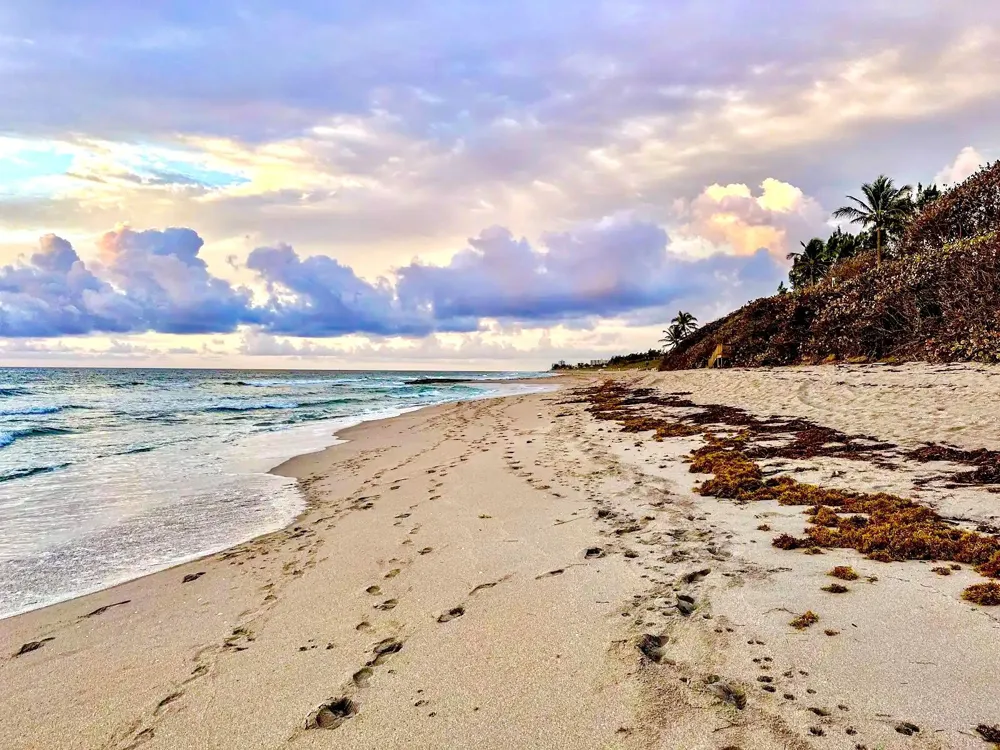 4501 Ocean Boulevard #Th-04 Boca Raton, FL 33431