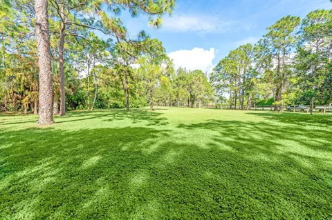 19 Duckweed Road