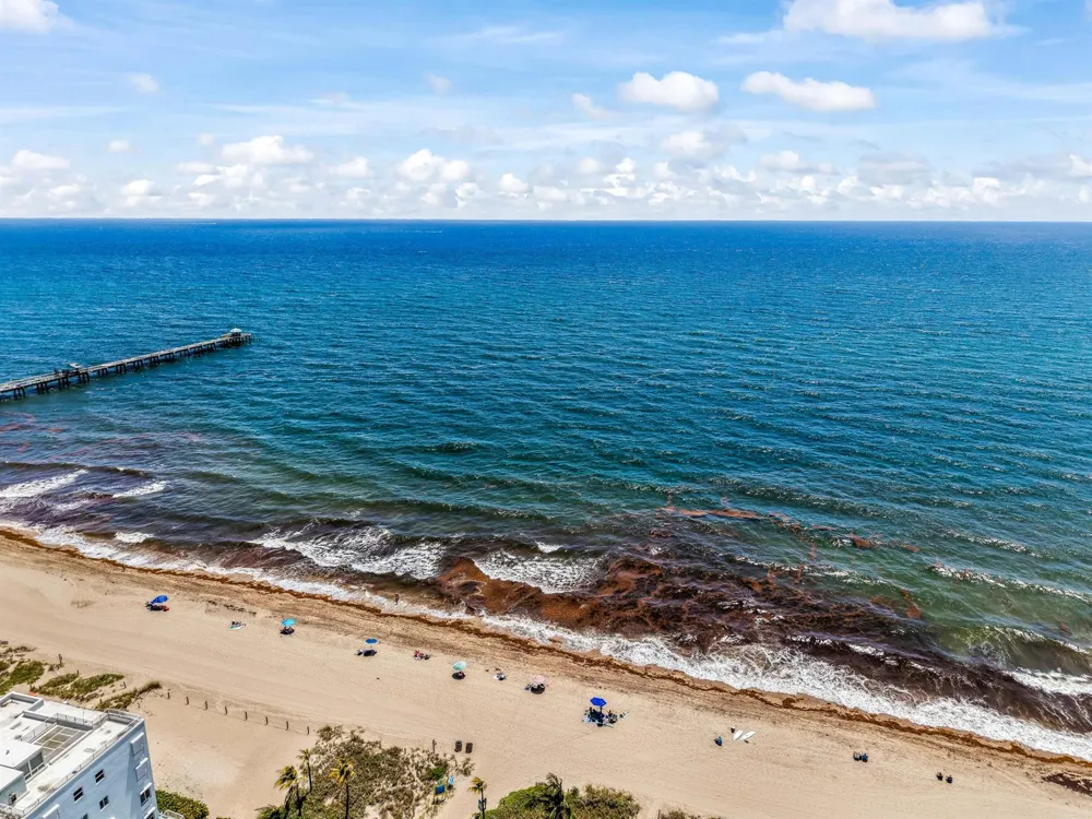228 Hibiscus Avenue #233 Lauderdale By The Sea, FL 33308
