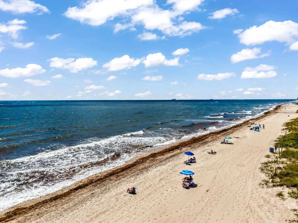 228 Hibiscus Avenue #233 Lauderdale By The Sea, FL 33308