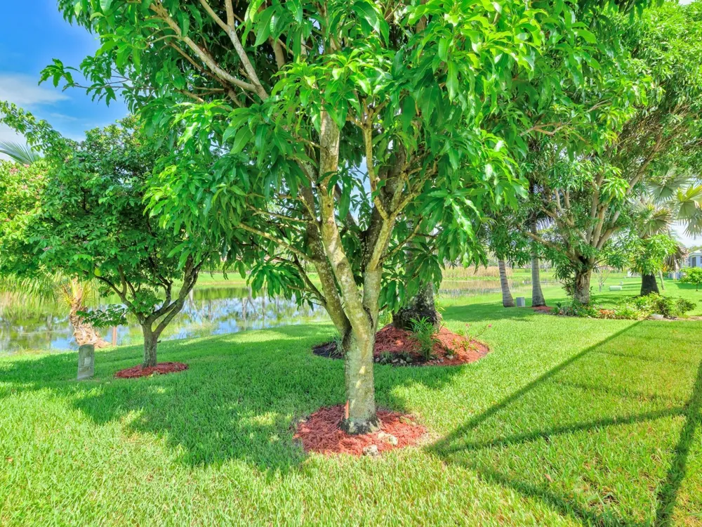 4032 Pinewood Lane Weston, FL 33331