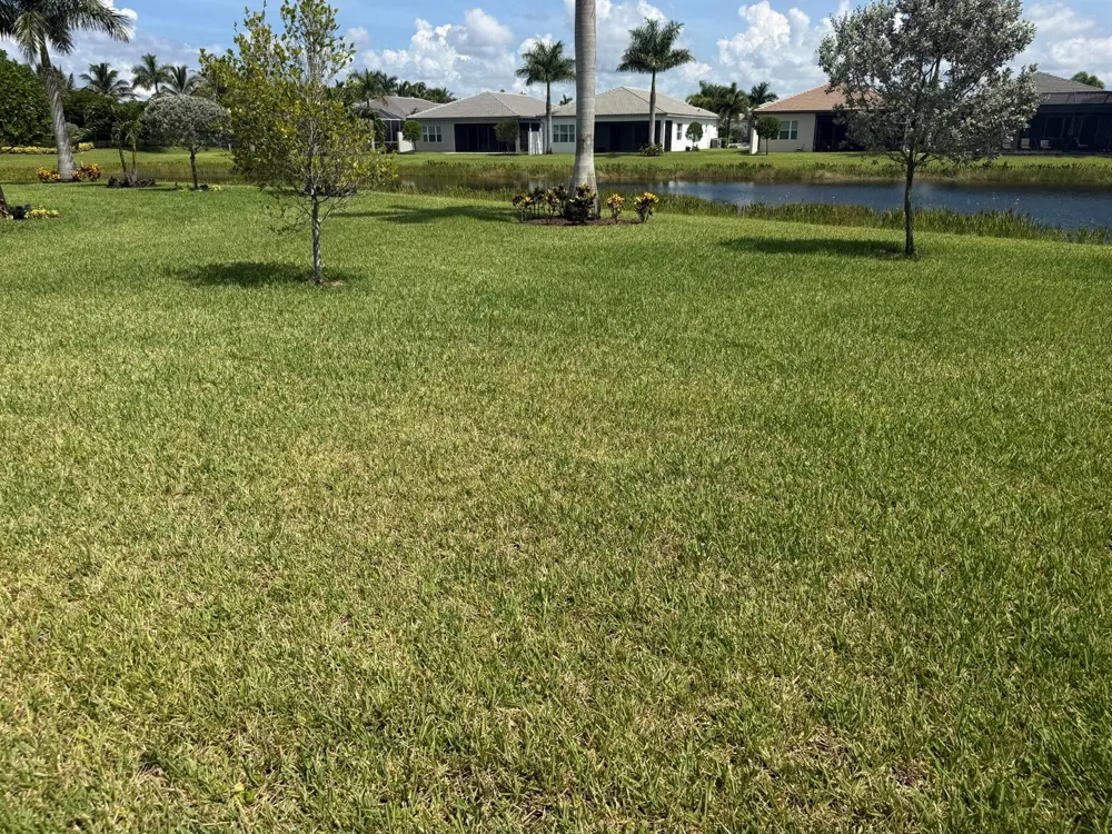 9939 Great Barrier Trail Boynton Beach, FL 33473