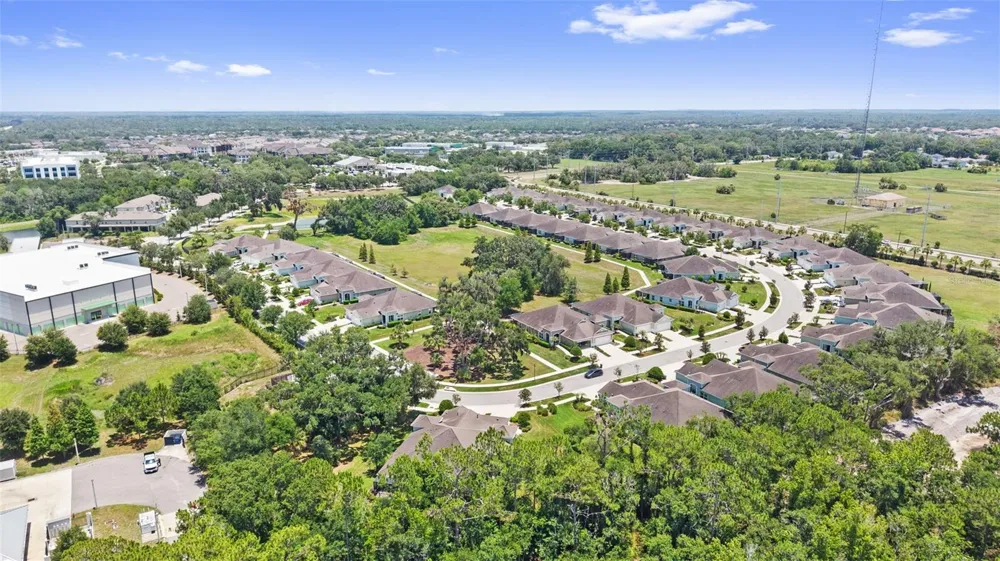 13506 CIRCA CROSSING DRIVE Lithia, FL 33547