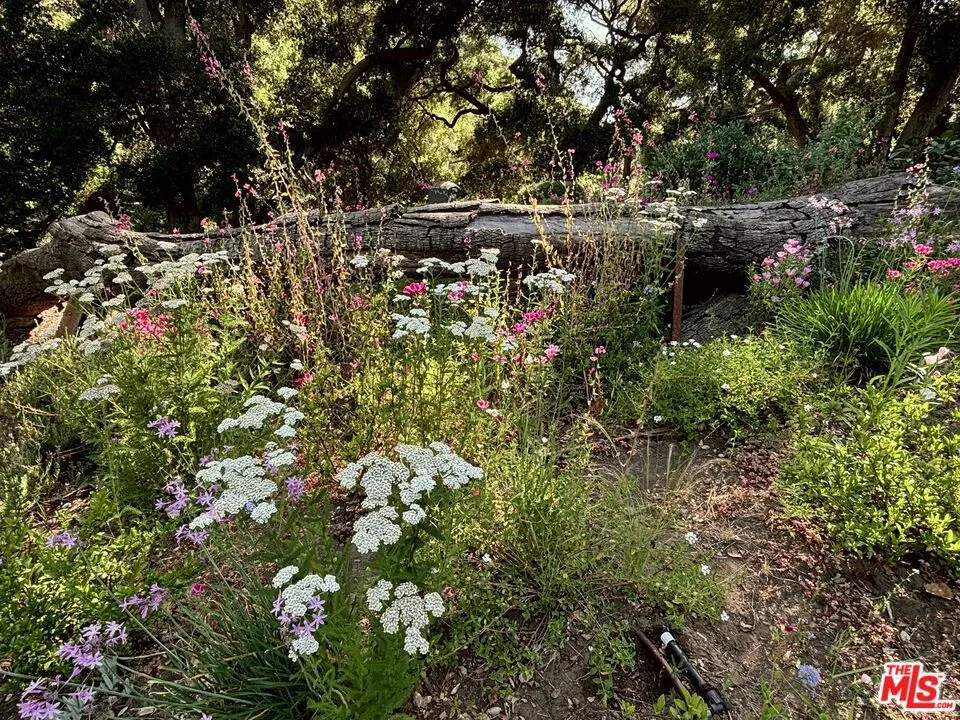1149 Old Topanga Canyon Road Topanga, CA 90290