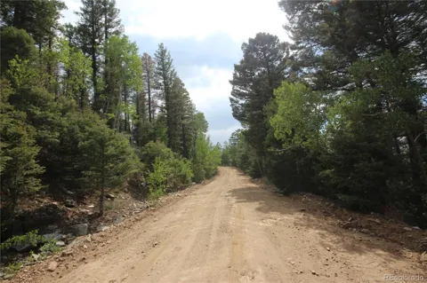 LOT 6401 Ryland Road