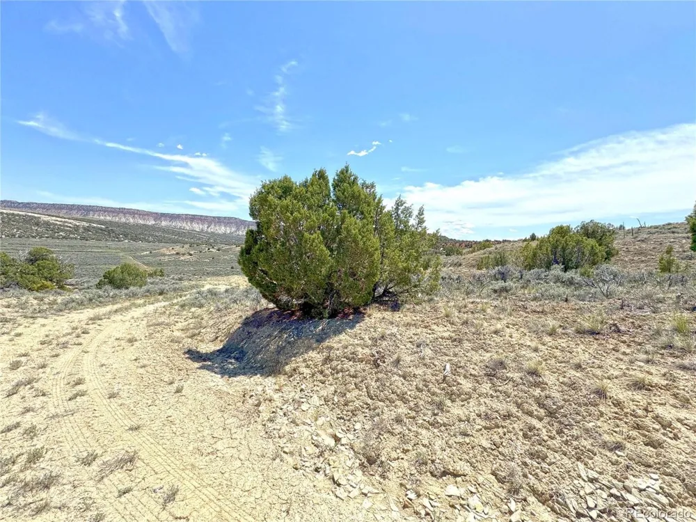 2 Valley Lane Dinosaur, CO 81610
