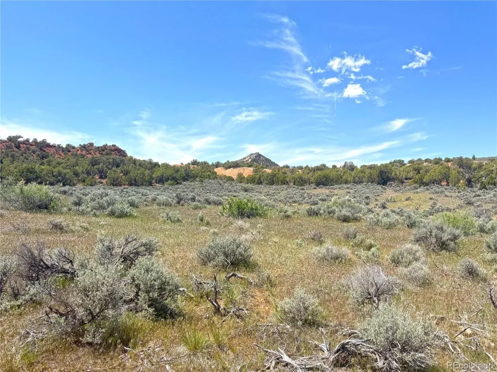 2 Valley Lane Dinosaur, CO 81610