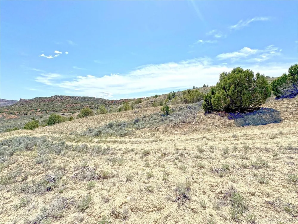 2 Valley Lane Dinosaur, CO 81610