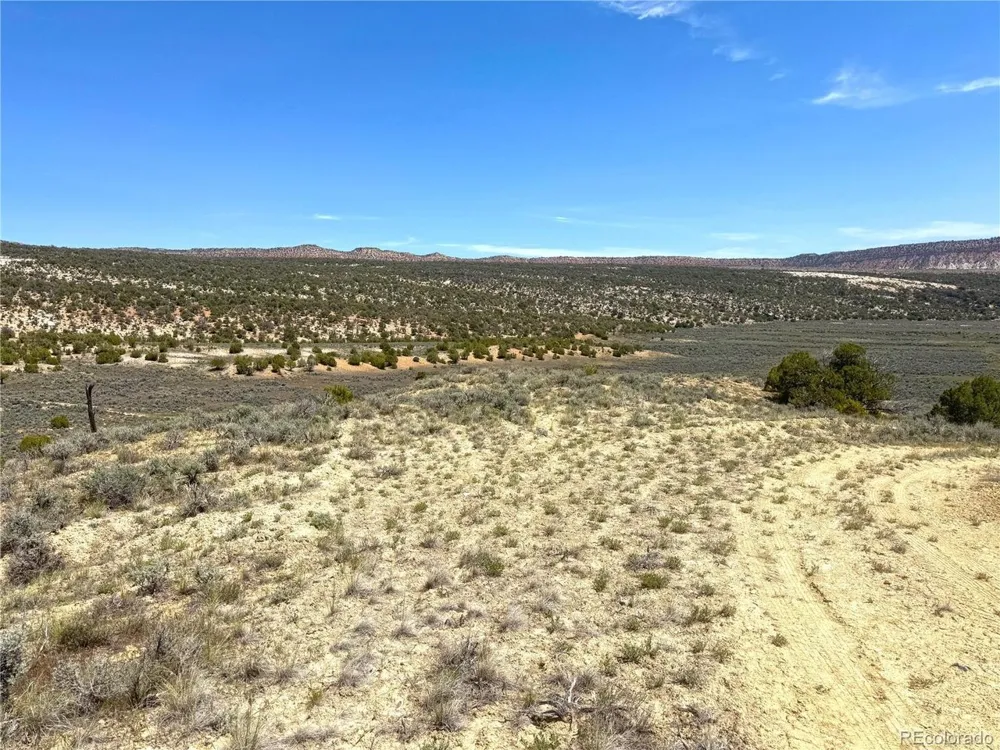 2 Valley Lane Dinosaur, CO 81610