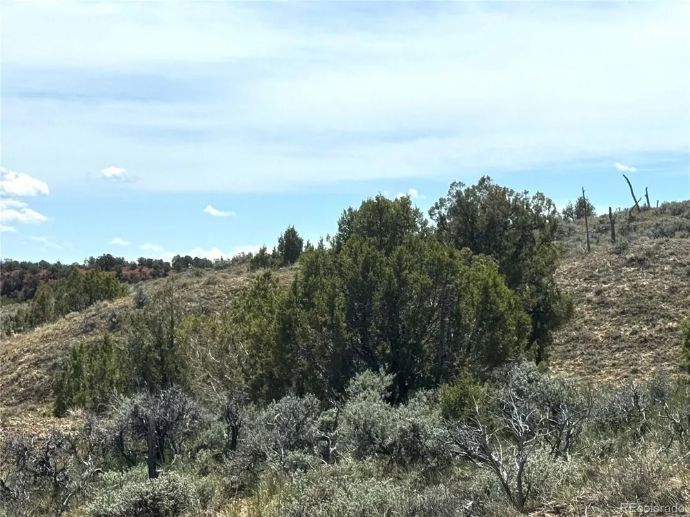 2 Valley Lane Dinosaur, CO 81610