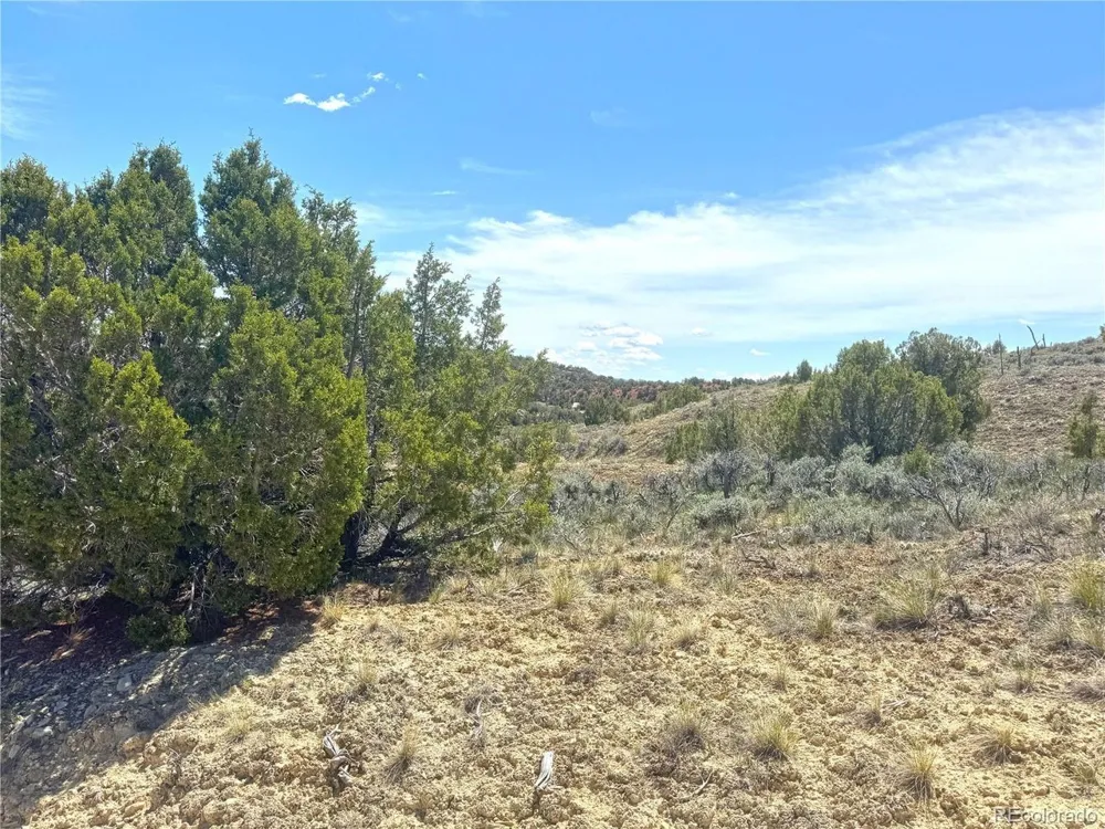 2 Valley Lane Dinosaur, CO 81610