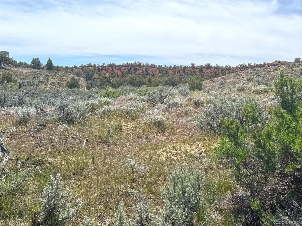 2 Valley Lane Dinosaur, CO 81610
