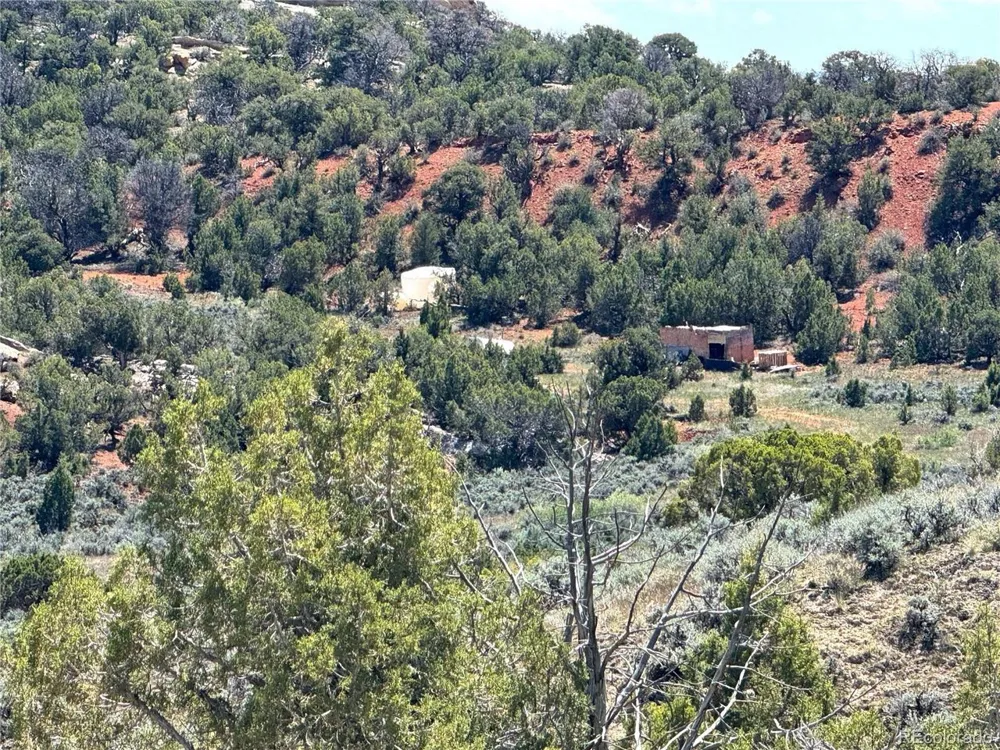 2 Valley Lane Dinosaur, CO 81610