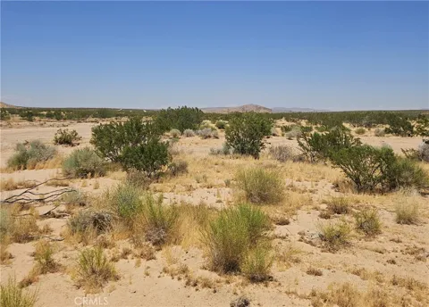 Pepper Place