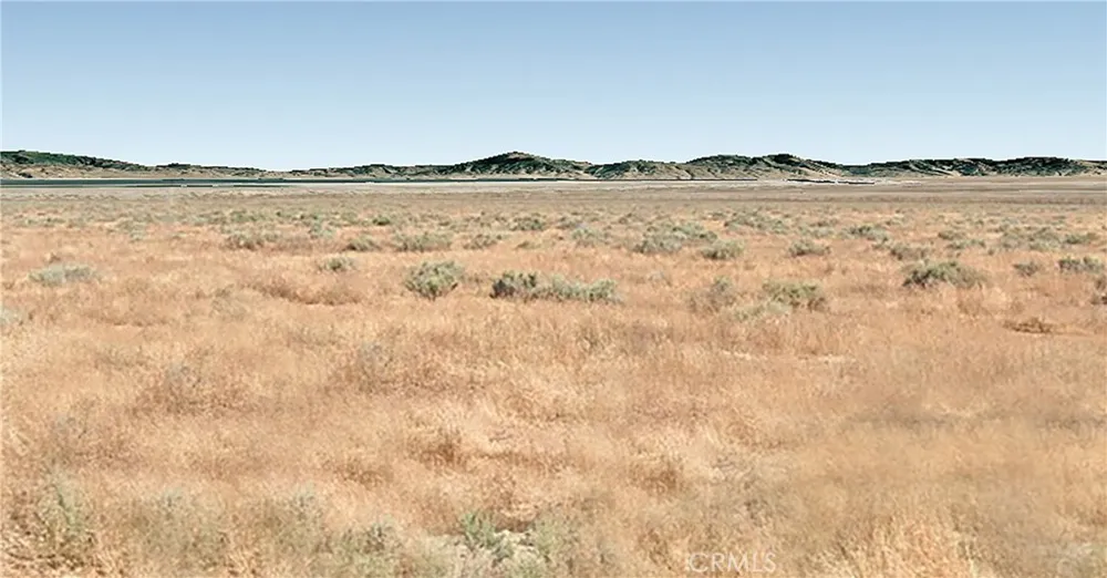 11 Between Loken & 7th Standard Road Buttonwillow, CA 93206