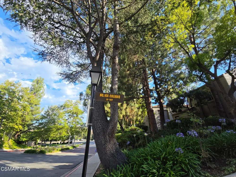 85 Via Colinas Thousand Oaks, CA 91362