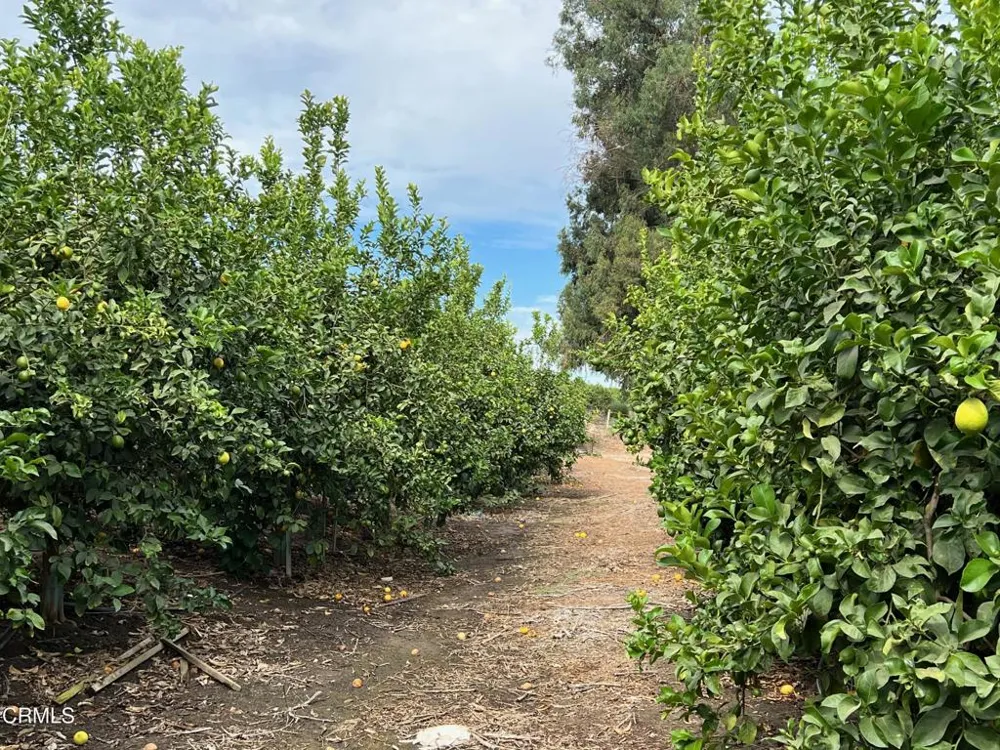 Ventavo Road Moorpark, CA 93021