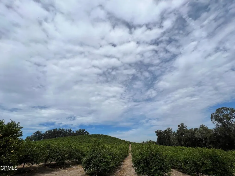 Ventavo Road Moorpark, CA 93021