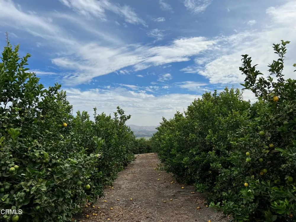 Ventavo Road Moorpark, CA 93021