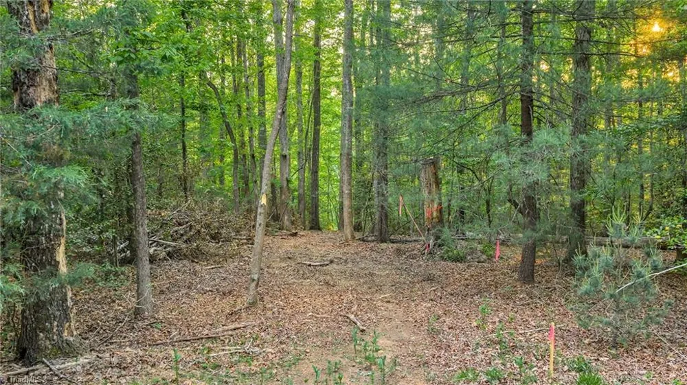 TBD Nicole Lane Wilkesboro, NC 28697