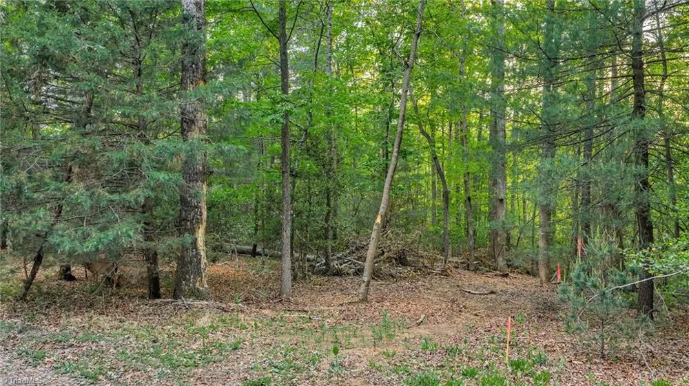 TBD Nicole Lane Wilkesboro, NC 28697