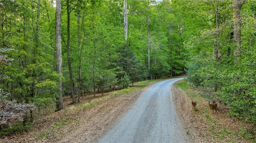 TBD Nicole Lane Wilkesboro, NC 28697