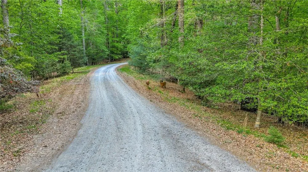 TBD Nicole Lane Wilkesboro, NC 28697