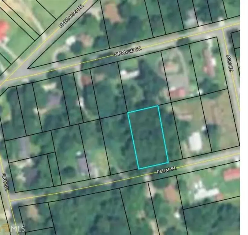 147 Plum Street Haddock, GA 31032