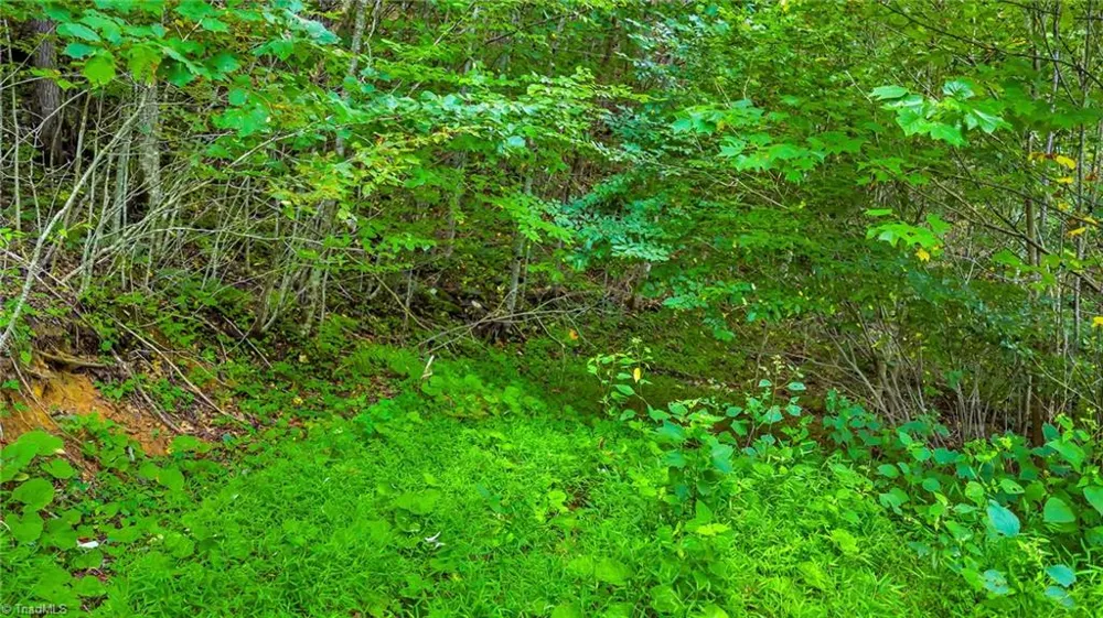 TBD Deep Ford Road Lansing, NC 28642