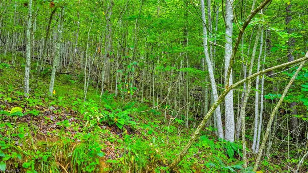 TBD Deep Ford Road Lansing, NC 28642