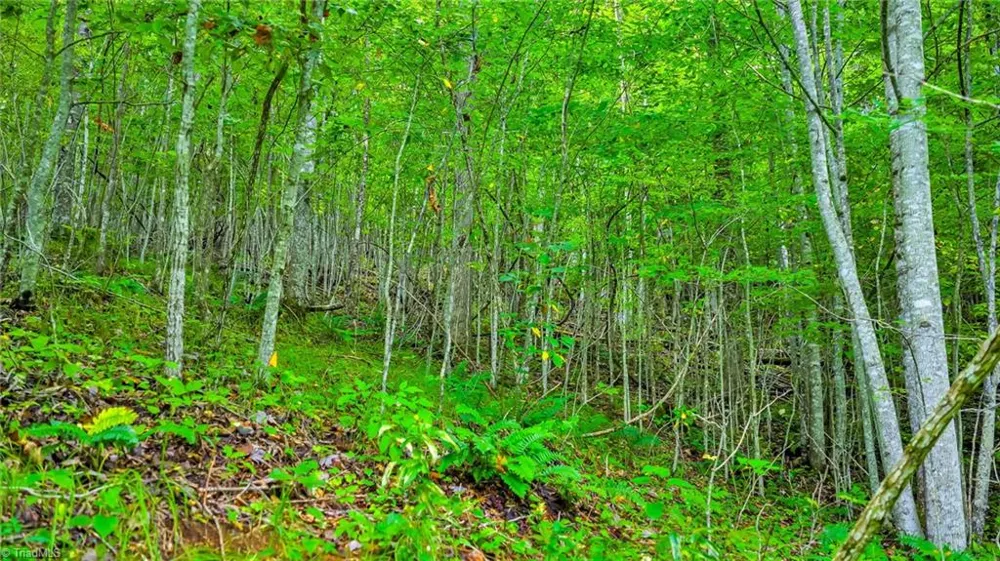 TBD Deep Ford Road Lansing, NC 28642