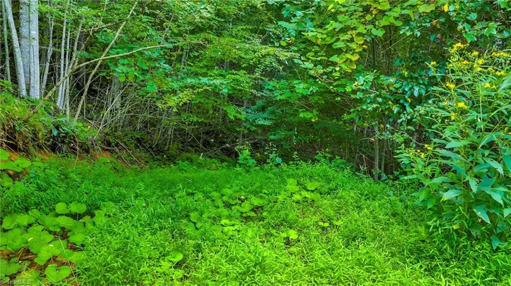 TBD Deep Ford Road Lansing, NC 28642