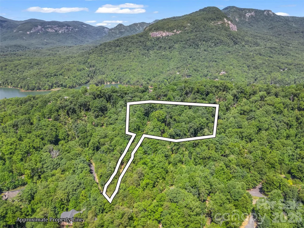 0 Hawks Nest Trail #31 Lake Lure, NC 28746