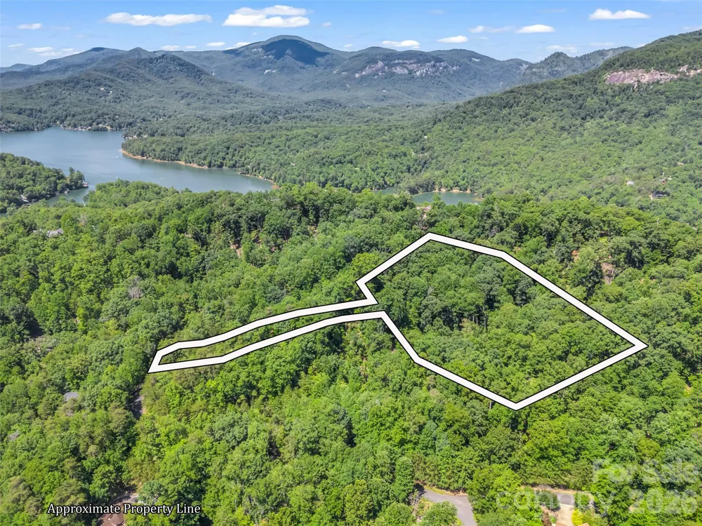 0 Hawks Nest Trail #31 Lake Lure, NC 28746