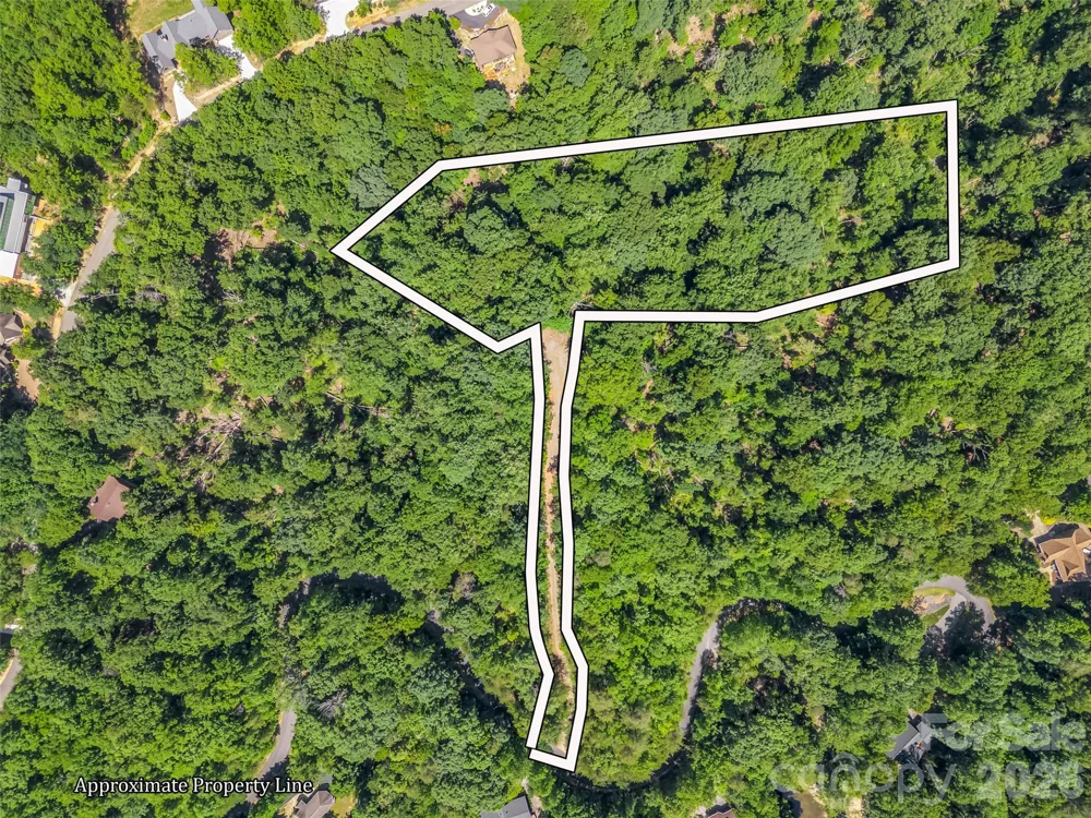 0 Hawks Nest Trail #31 Lake Lure, NC 28746