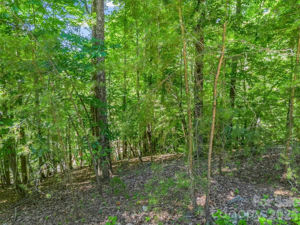 0 Hawks Nest Trail #31 Lake Lure, NC 28746