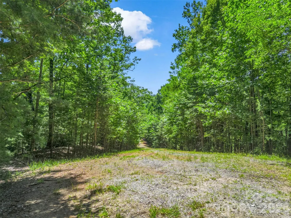 0 Hawks Nest Trail #31 Lake Lure, NC 28746