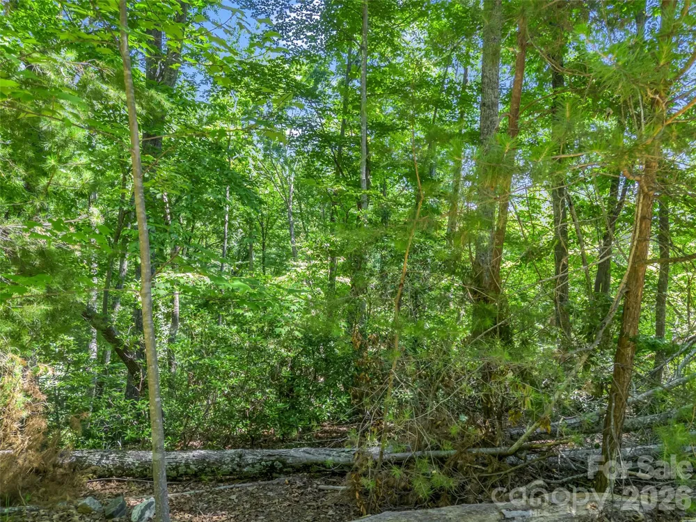 0 Hawks Nest Trail #31 Lake Lure, NC 28746