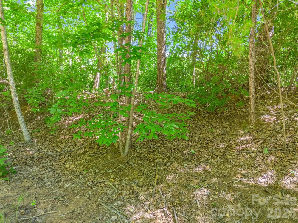 0 Hawks Nest Trail #31 Lake Lure, NC 28746