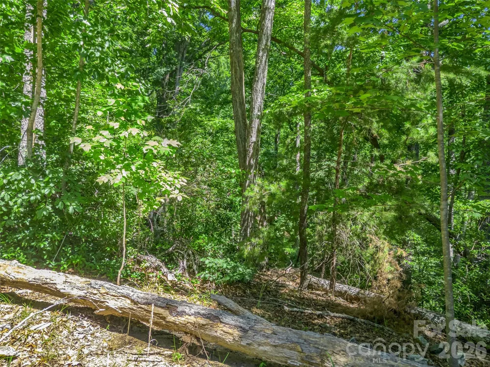 0 Hawks Nest Trail #31 Lake Lure, NC 28746
