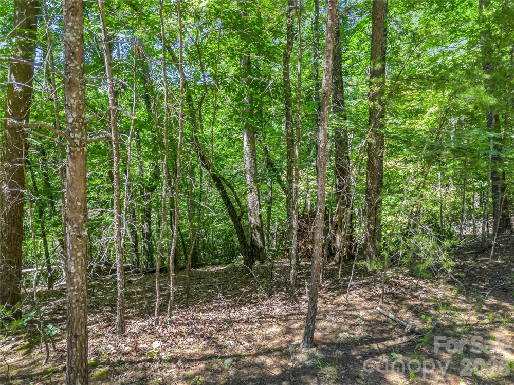 0 Hawks Nest Trail #31 Lake Lure, NC 28746