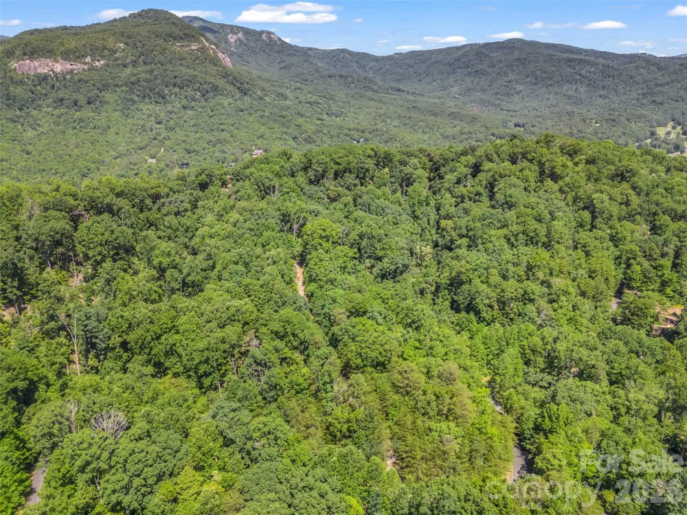 0 Hawks Nest Trail #31 Lake Lure, NC 28746